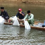 TRADISI PENEBARAN BENIH IKAN DI LUBUK LARANGAN DESA DUSUN MUDO KECAMATAN MUARA PAPALIK